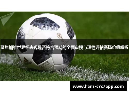 聚焦加维世界杯表现是否符合预期的全面审视与理性评估赛场价值解析