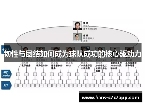 韧性与团结如何成为球队成功的核心驱动力 韧性与团结如何成为球队成功的核心驱动力
