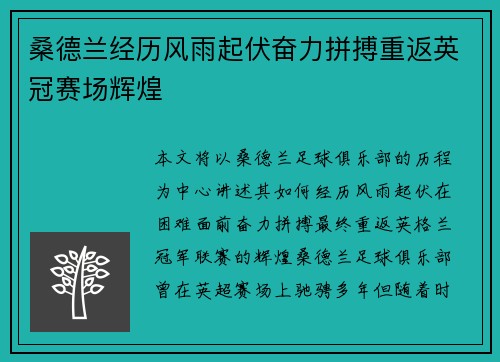 桑德兰经历风雨起伏奋力拼搏重返英冠赛场辉煌